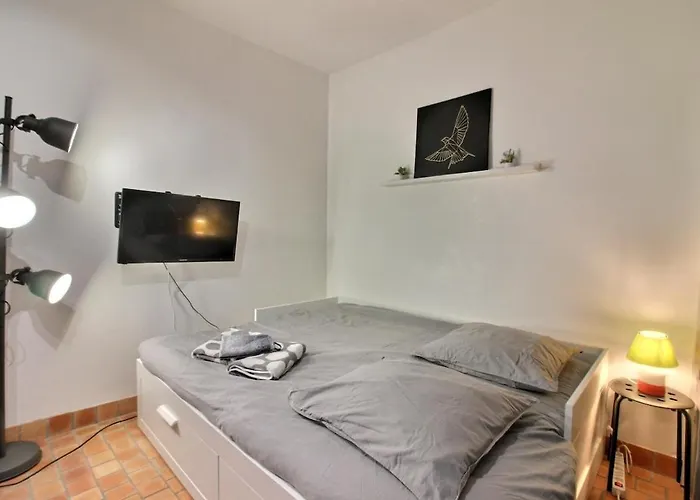 Le Colbert Calme Wifi Hypercentre * Tours